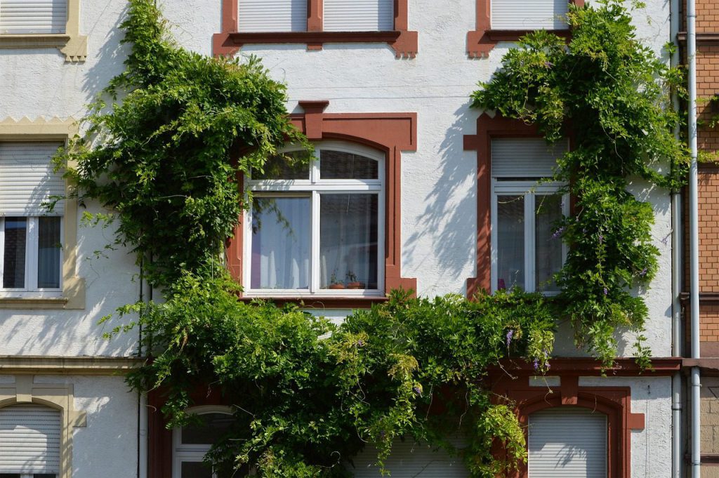 Ferienhaus & Ferienwohnung Verwaltung in Heidelberg