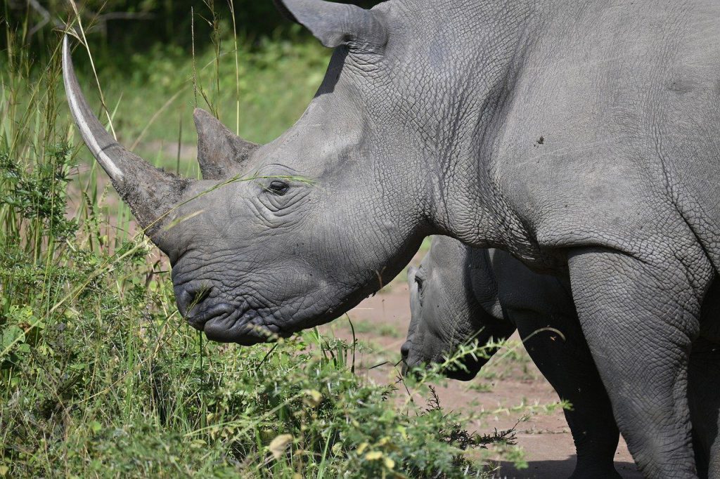 Ferienhaus & Ferienwohnung Verwaltung in Magdeburg