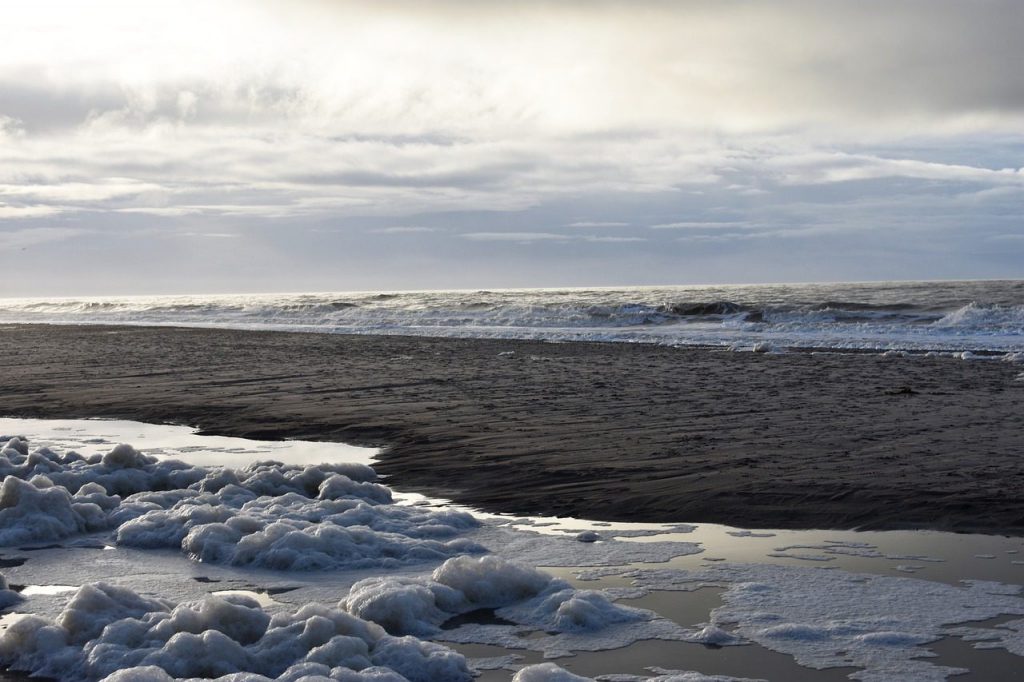 Ferienhaus & Ferienwohnung Verwaltung in Timmendorfer Strand