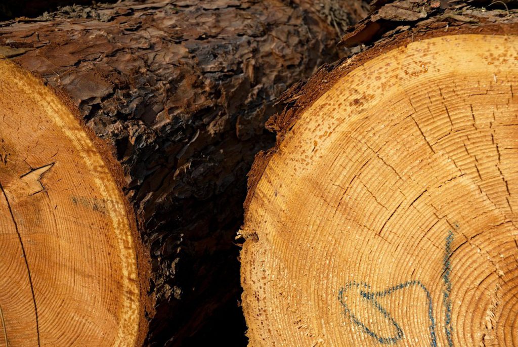 Ferienhaus & Ferienwohnung Verwaltung in Bad Nauheim