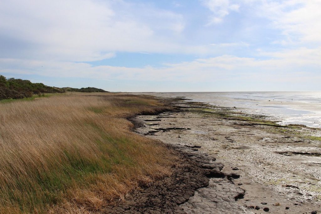 Ferienhaus & Ferienwohnung Verwaltung in Erding