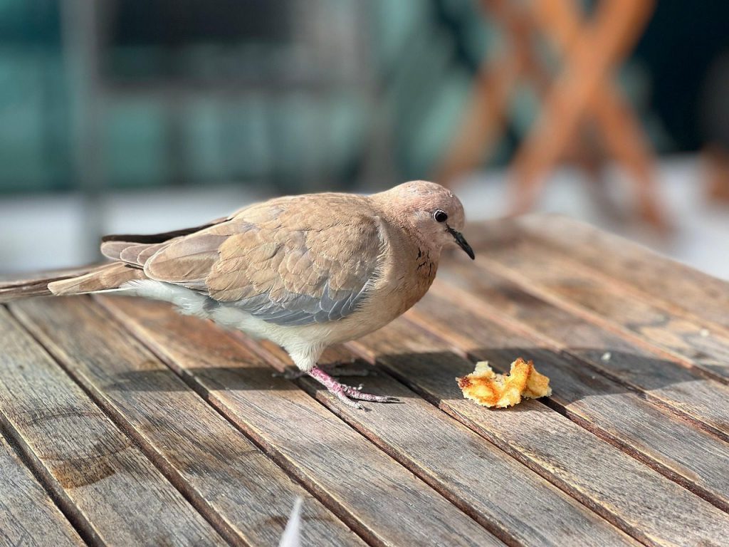 Hotel Verwaltung & Vermarktung in Kühlungsborn 