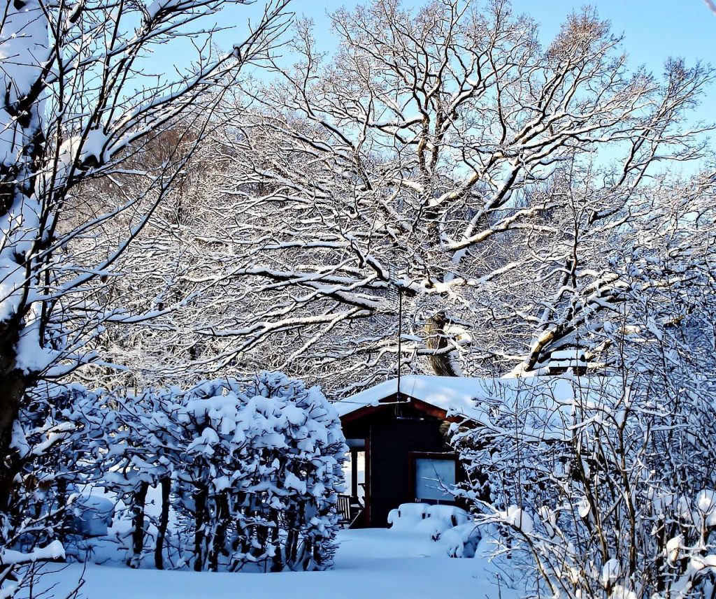 Ferienhaus & Ferienwohnung Verwaltung in Passau