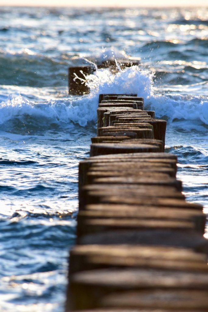 Ferienhaus & Ferienwohnung Verwaltung in Prerow