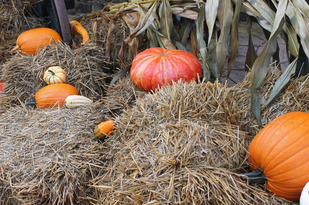 Ferienhaus & Ferienwohnung Verwaltung in Soltau