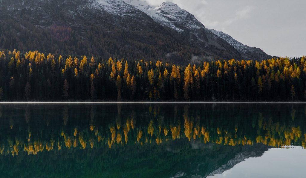 Ferienhaus & Ferienwohnung Verwaltung in Starnberger See