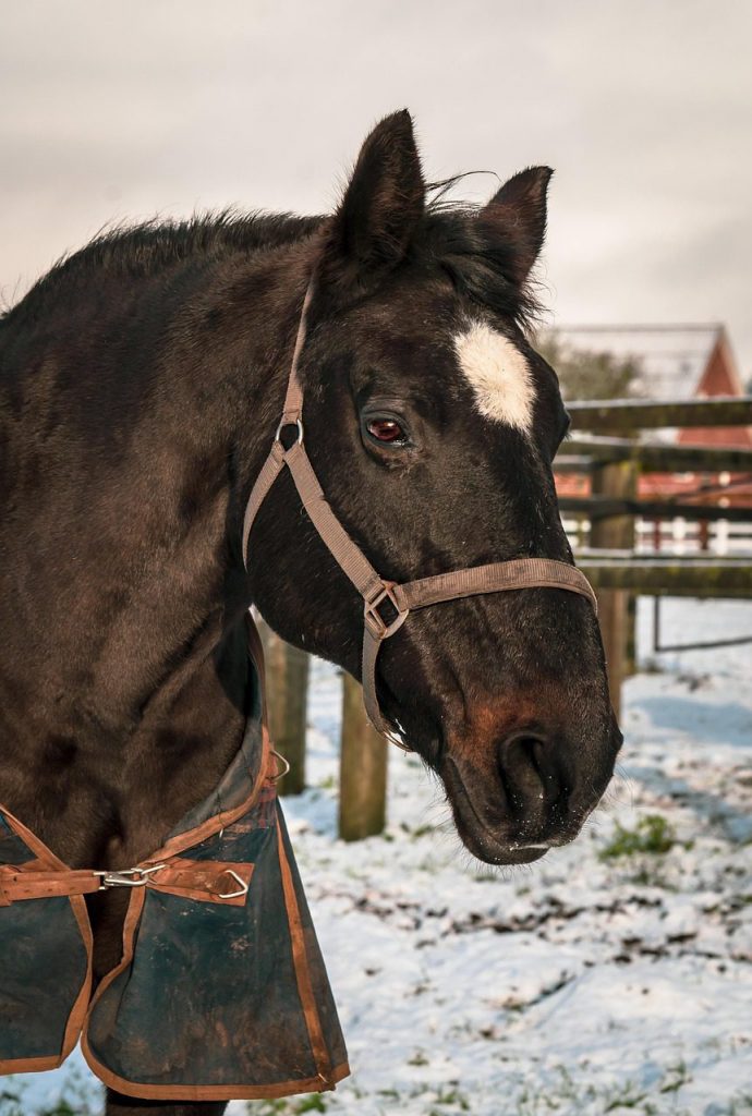 Ferienhaus & Ferienwohnung Verwaltung in Oldenburg